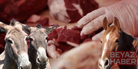 Vatandaşa at ve eşek eti yedirdiler! İşte listede başı çeken 3 ilimiz