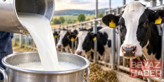 İnek sütü içen milyonları ilgilendiriyor