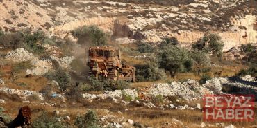 Filistin topraklarını gasbeden İsrailliler, Batı Şeria'da Filistinlilerin 120 zeytin ağacına daha zarar verdi