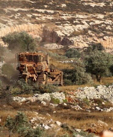 Filistin topraklarını gasbeden İsrailliler, Batı Şeria'da Filistinlilerin 120 zeytin ağacına daha zarar verdi
