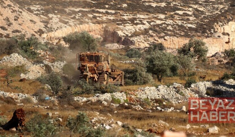 Filistin topraklarını gasbeden İsrailliler, Batı Şeria'da Filistinlilerin 120 zeytin ağacına daha zarar verdi
