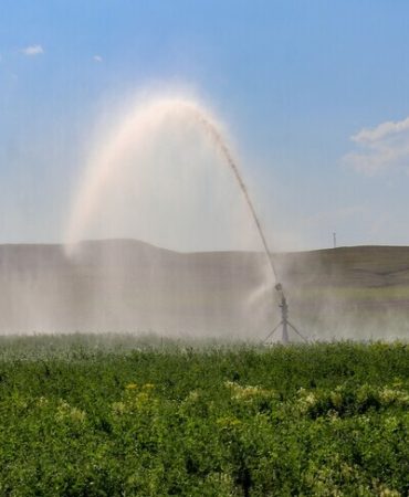Tarladan sofraya enerji verimliliğiyle maliyetlerin ve gıda kayıplarının azaltılması hedefleniyor