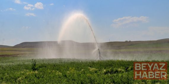 Tarladan sofraya enerji verimliliğiyle maliyetlerin ve gıda kayıplarının azaltılması hedefleniyor