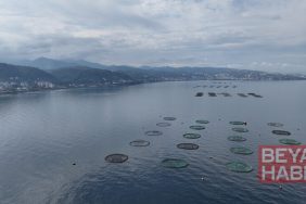 Karadeniz'in su ürünleri ihracatı 9 ayda 322 milyon doları aştı