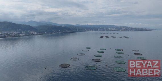 Karadeniz'in su ürünleri ihracatı 9 ayda 322 milyon doları aştı