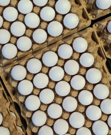 Türkiye'nin yumurta ihracatı 9 ayda 418 milyon doları aştı