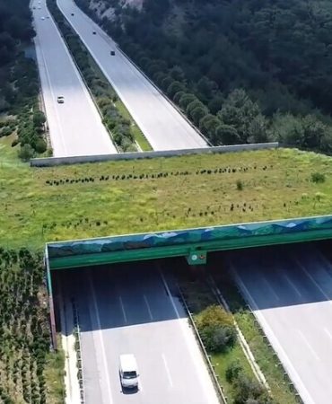Kara ve demir yollarında 21 ekolojik köprü yapıldı
