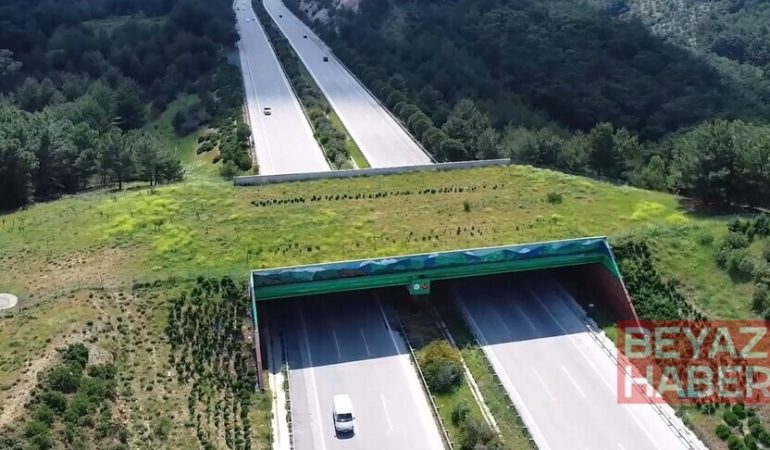 Kara ve demir yollarında 21 ekolojik köprü yapıldı