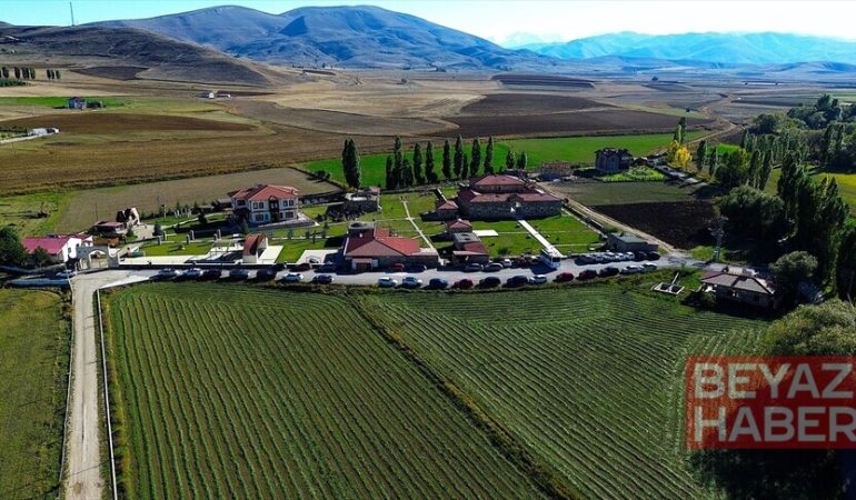 Bayburt'un köyünden Avrupa'ya uzanan müzecilik başarısı