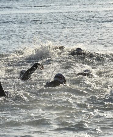 27. Uluslararası Arena AquaChallenge Yüzme Şampiyonası, Marmaris'te başladı