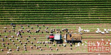 Bütçeden tarımsal desteklere gelecek yıl için 235 milyar lira ayrıldı