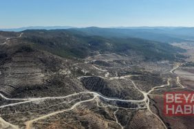 Eber Gölü'ndeki sazlık ve Sarıcaova'daki yanan ormanlarda yaban hayatı izleniyor