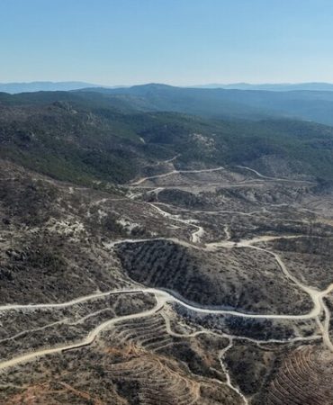 Eber Gölü'ndeki sazlık ve Sarıcaova'daki yanan ormanlarda yaban hayatı izleniyor