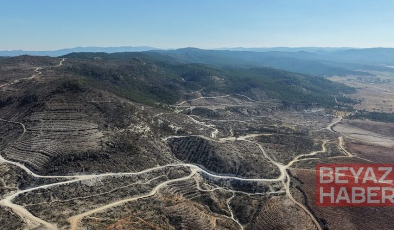 Eber Gölü'ndeki sazlık ve Sarıcaova'daki yanan ormanlarda yaban hayatı izleniyor