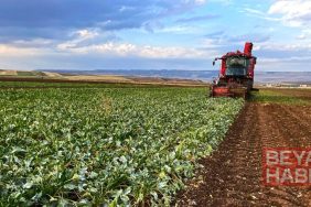 Pancar üreticisi çiftçilerin hesaplarına 5'inci avans ödemeleri aktarıldı