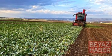 Pancar üreticisi çiftçilerin hesaplarına 5'inci avans ödemeleri aktarıldı