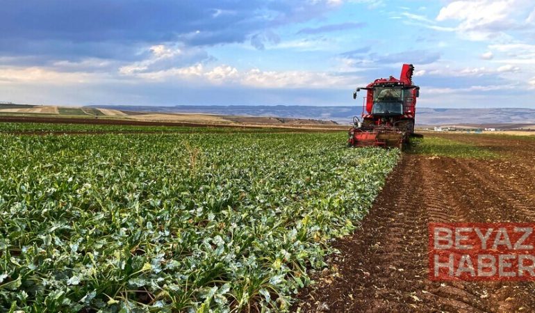 Pancar üreticisi çiftçilerin hesaplarına 5'inci avans ödemeleri aktarıldı