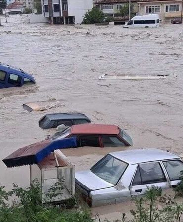 Toprağın suya doygun olması ne demek, toprak suya doyarsa ne olur?