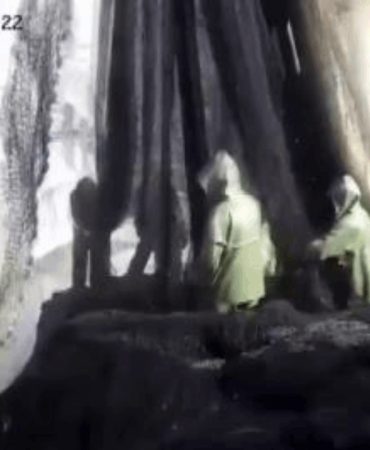 Balık avlarken üzerine vinç devrilen balıkçı feci şekilde can verdi