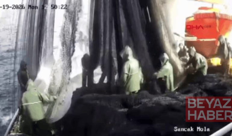 Balık avlarken üzerine vinç devrilen balıkçı feci şekilde can verdi
